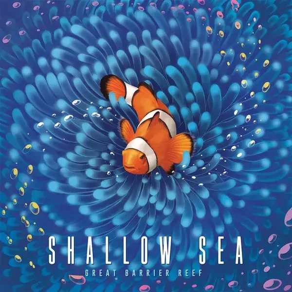 Shallow Sea - Inglese