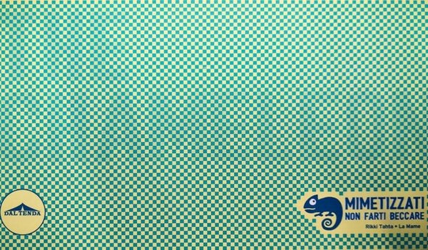 The Chameleon - USATO