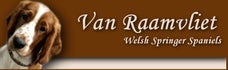 van Raamvliet Welsh Springer Spaniels