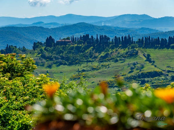Pomarance, porzione di podere con VISTA accanto ad antica fonte