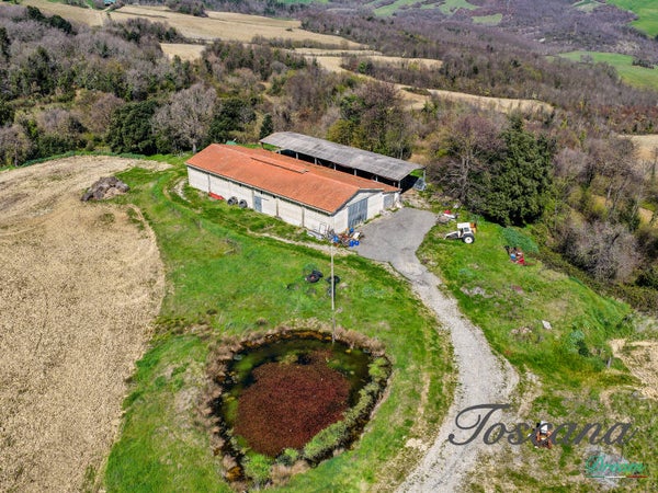 Azienda agricola, casale e capannone con 167 ha di terra