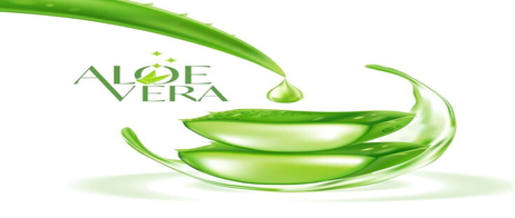 wieviel aloe vera saft am tag trinken Bio Aloe Vera Saft kaufen - Vegan main image 0