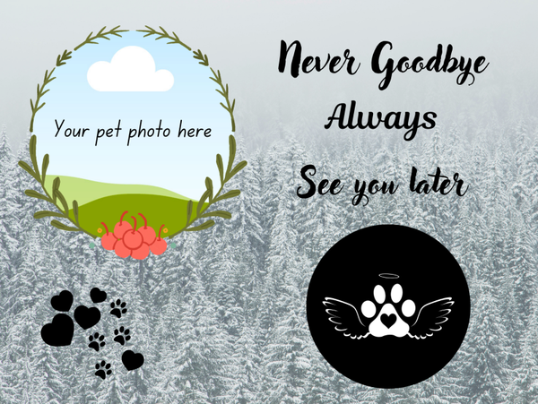 Never Goodbye Slate