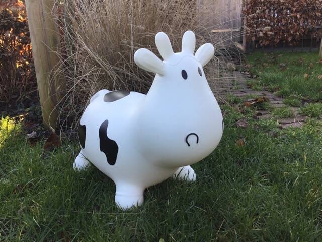 Hummeltjeshof gastouderopvang Groningen - springkoe