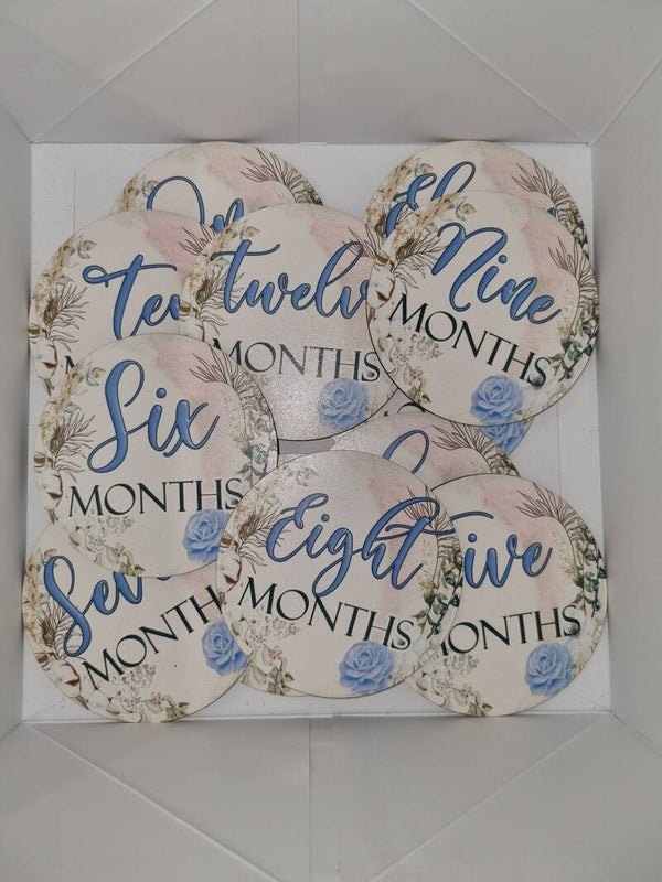 Baby Milestones Disc