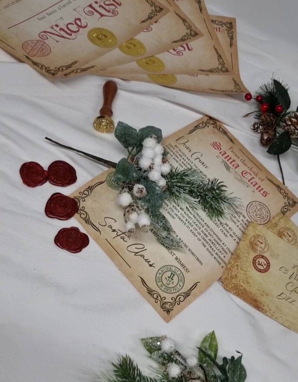 Santa Letter, Nice Cert & Medal