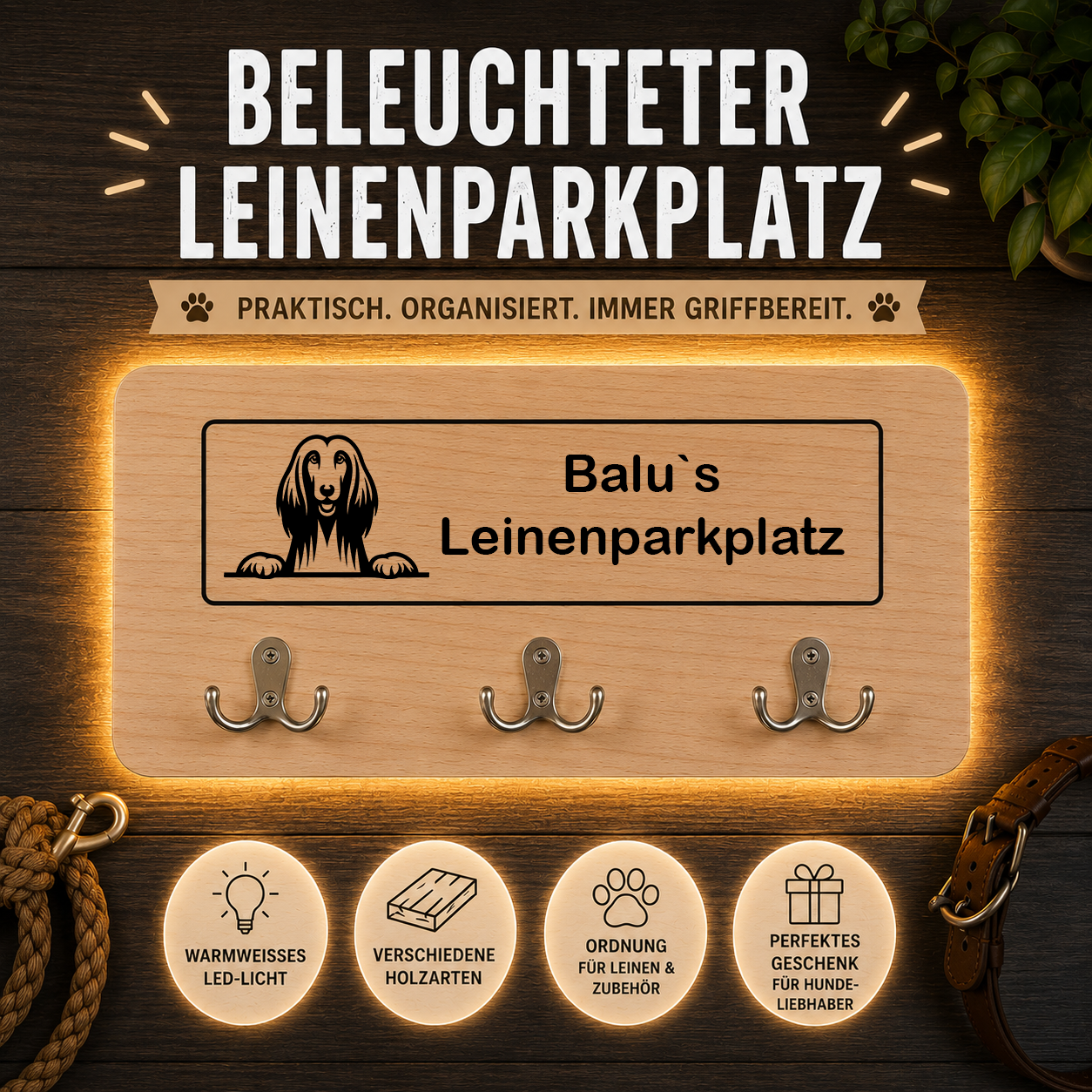 Afghanischer Windhund: Beleuchteter Leinenparkplatz – personalisiert mit Name & Hundemotiv