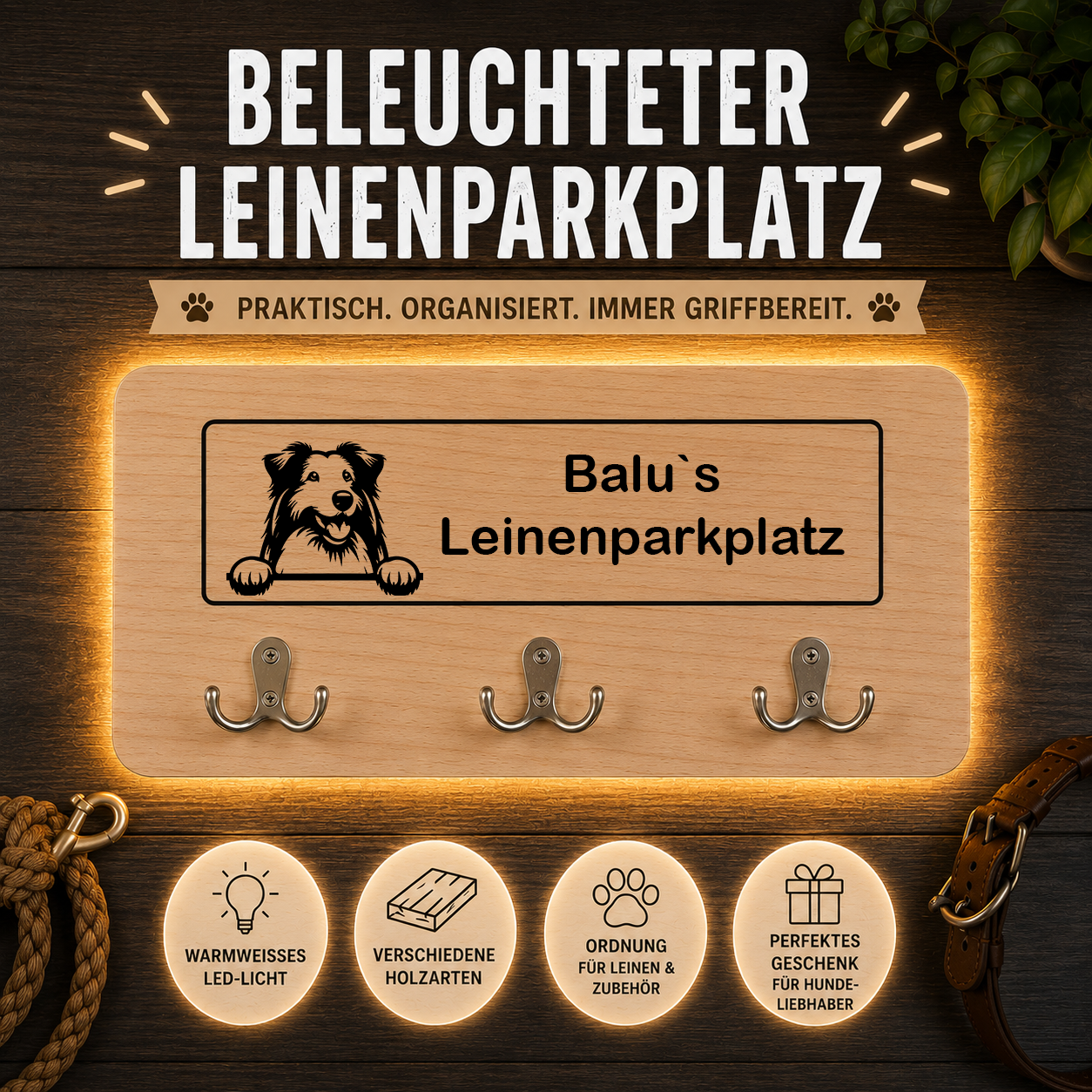Bearded Collie: Beleuchteter Leinenparkplatz – personalisiert mit Name & Hundemotiv
