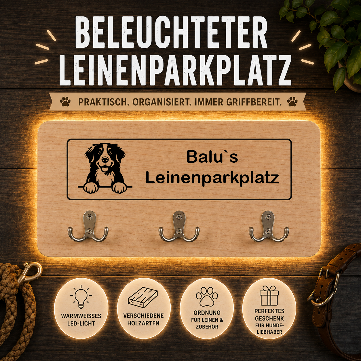 Berner Sennenhund: Beleuchteter Leinenparkplatz – personalisiert mit Name & Hundemotiv