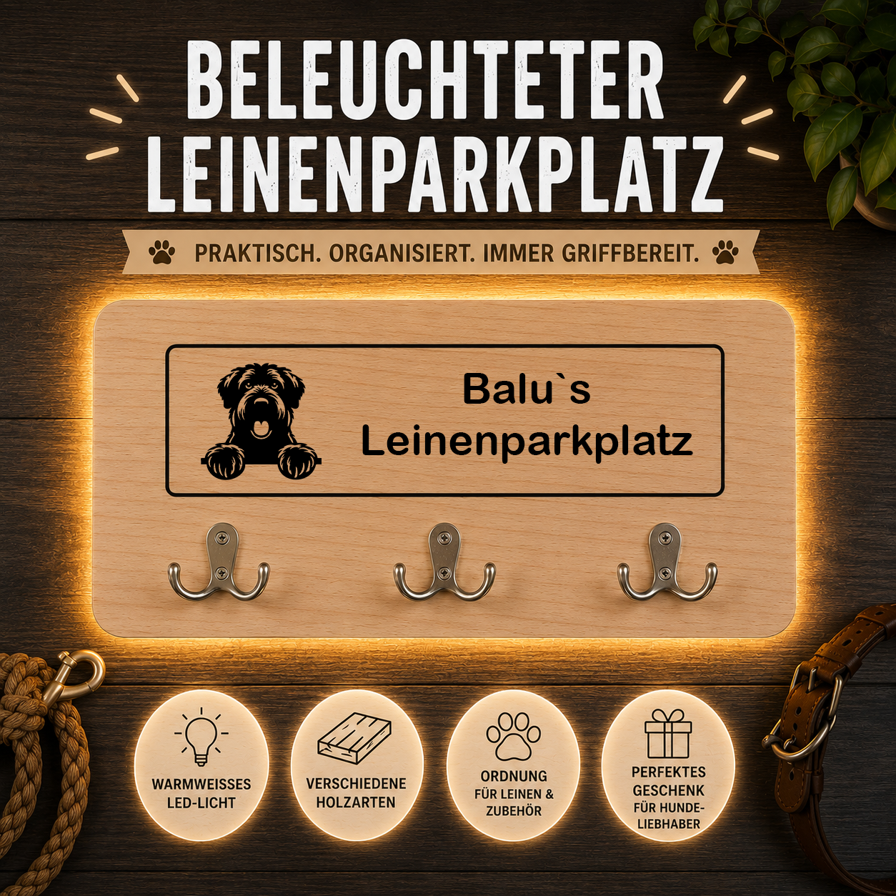 Bouvier Des Flandres: Beleuchteter Leinenparkplatz – personalisiert mit Name & Hundemotiv