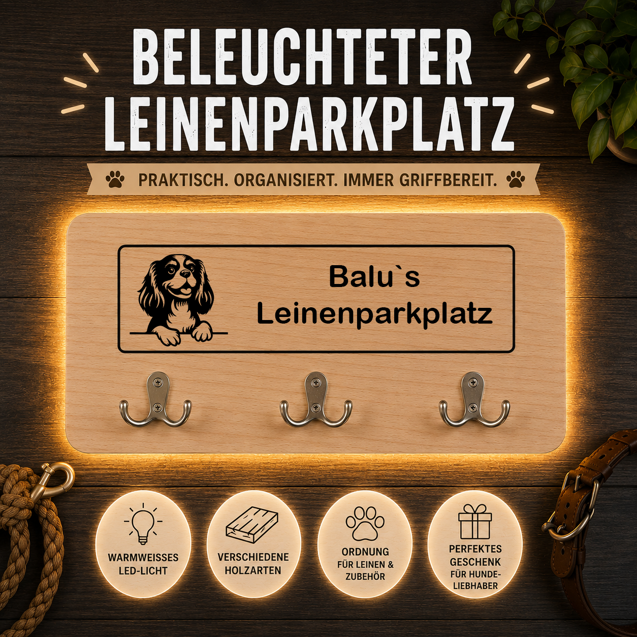 Cavalier King Charles Spaniel: Beleuchteter Leinenparkplatz – personalisiert mit Name & Hundemotiv