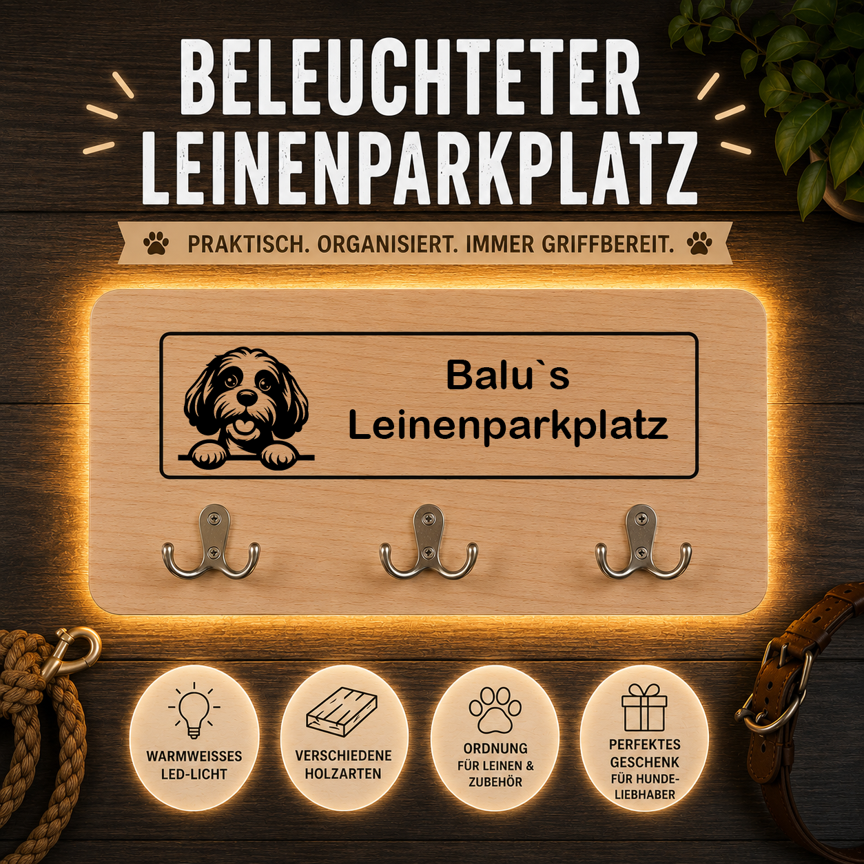 Cavapoo: Beleuchteter Leinenparkplatz – personalisiert mit Name & Hundemotiv