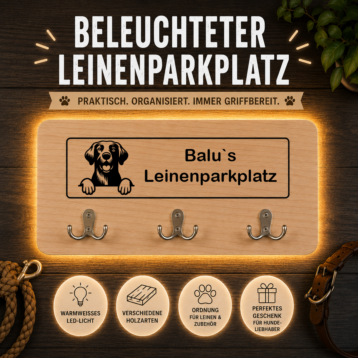 Chesapeake Bay Retriever: Beleuchteter Leinenparkplatz – personalisiert mit Name & Hundemotiv