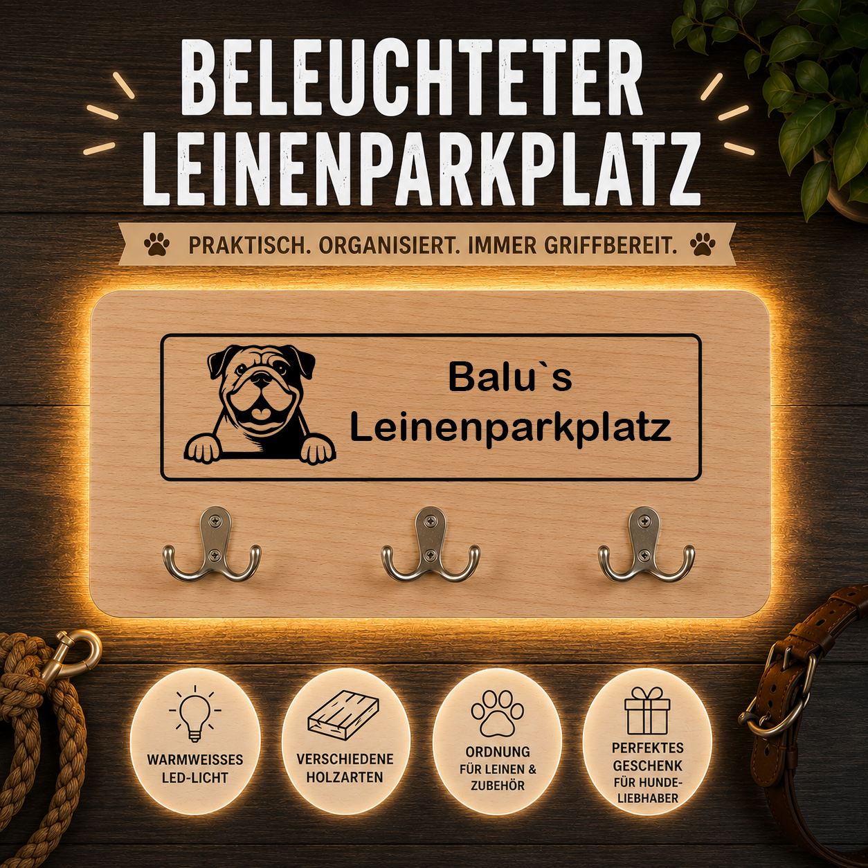 Englische Bulldoge: Beleuchteter Leinenparkplatz – personalisiert mit Name & Hundemotiv