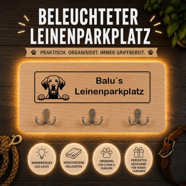 Magyar Vizsla: Beleuchteter Leinenparkplatz – personalisiert mit Name & Hundemotiv