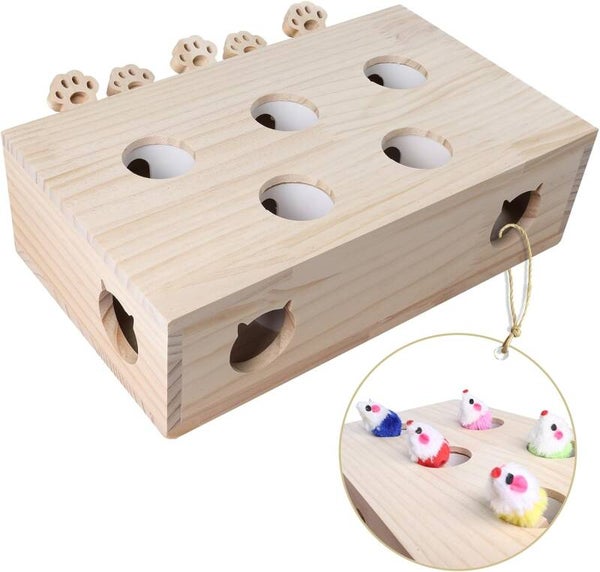 Katzenspielkiste