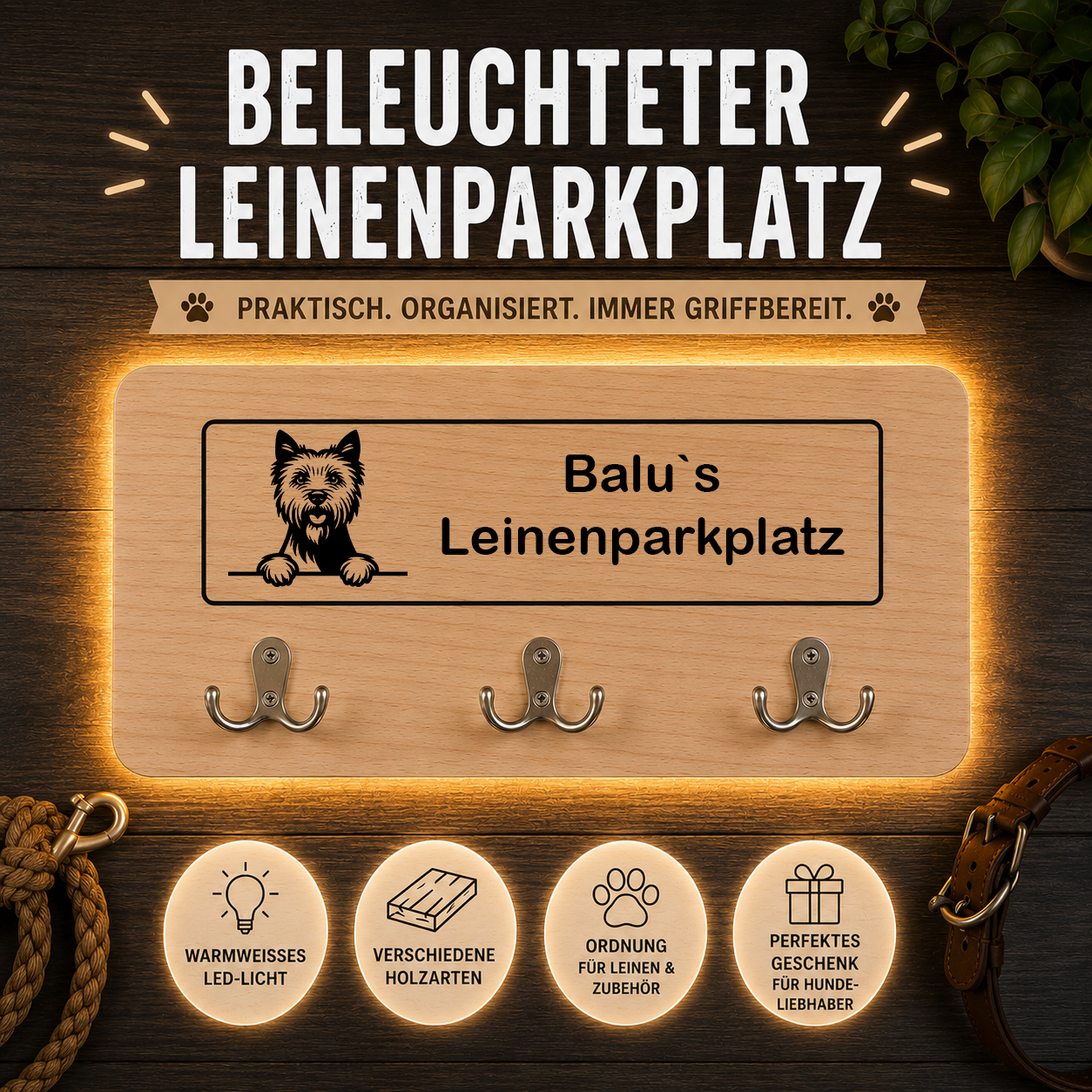 Norwich Terrier: Beleuchteter Leinenparkplatz – personalisiert mit Name & Hundemotiv