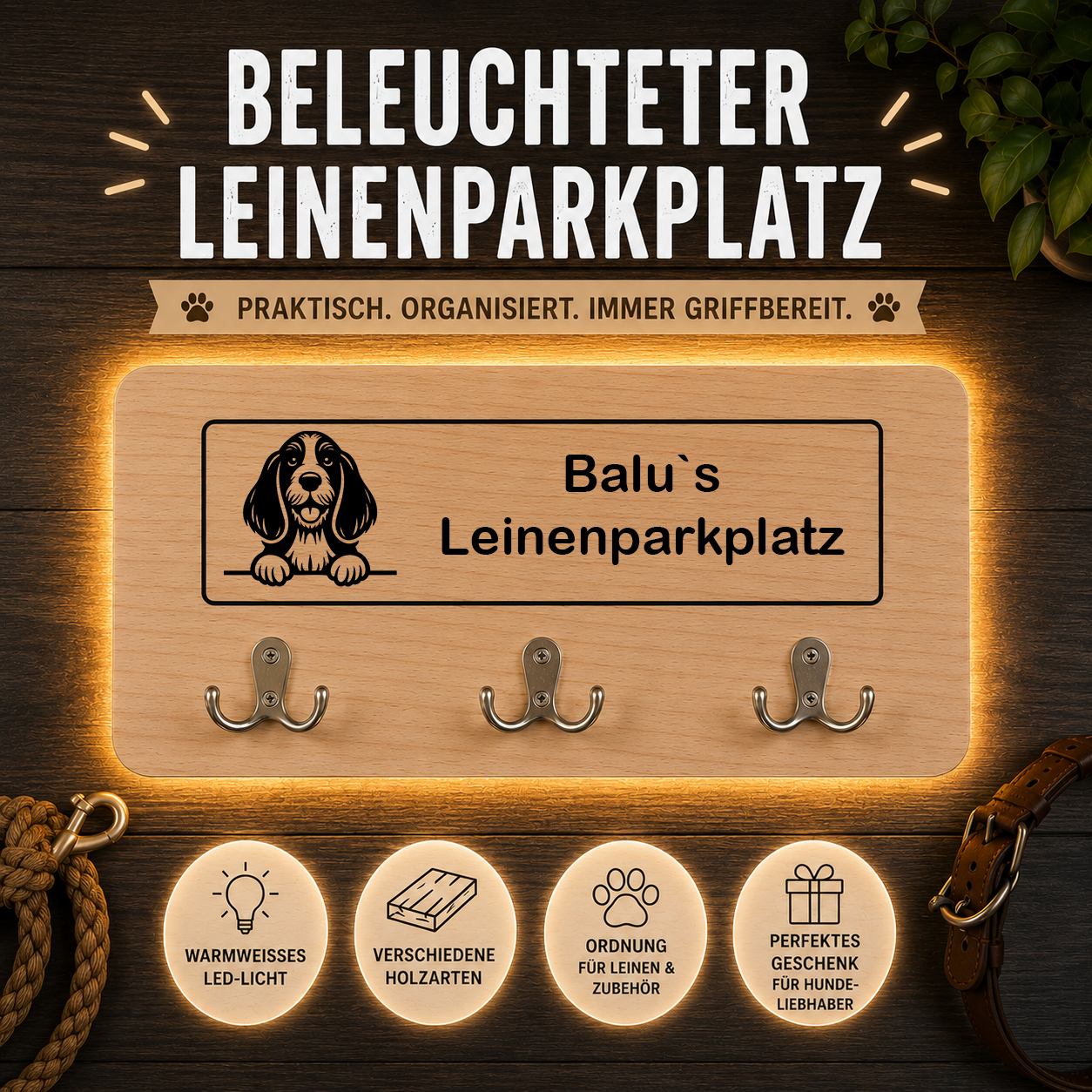 Petit Basset Griffon Vendéen: Beleuchteter Leinenparkplatz – personalisiert mit Name & Hundemotiv