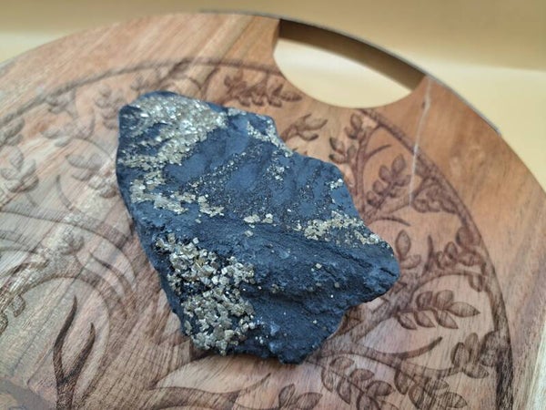 Shungite avec inclusion de Pyrite