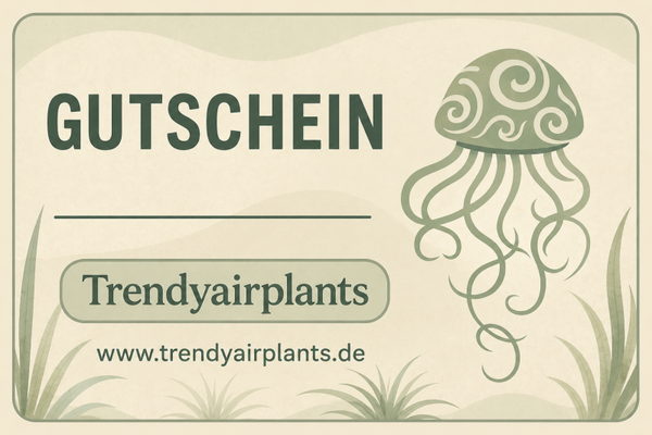 Geschenkgutschein