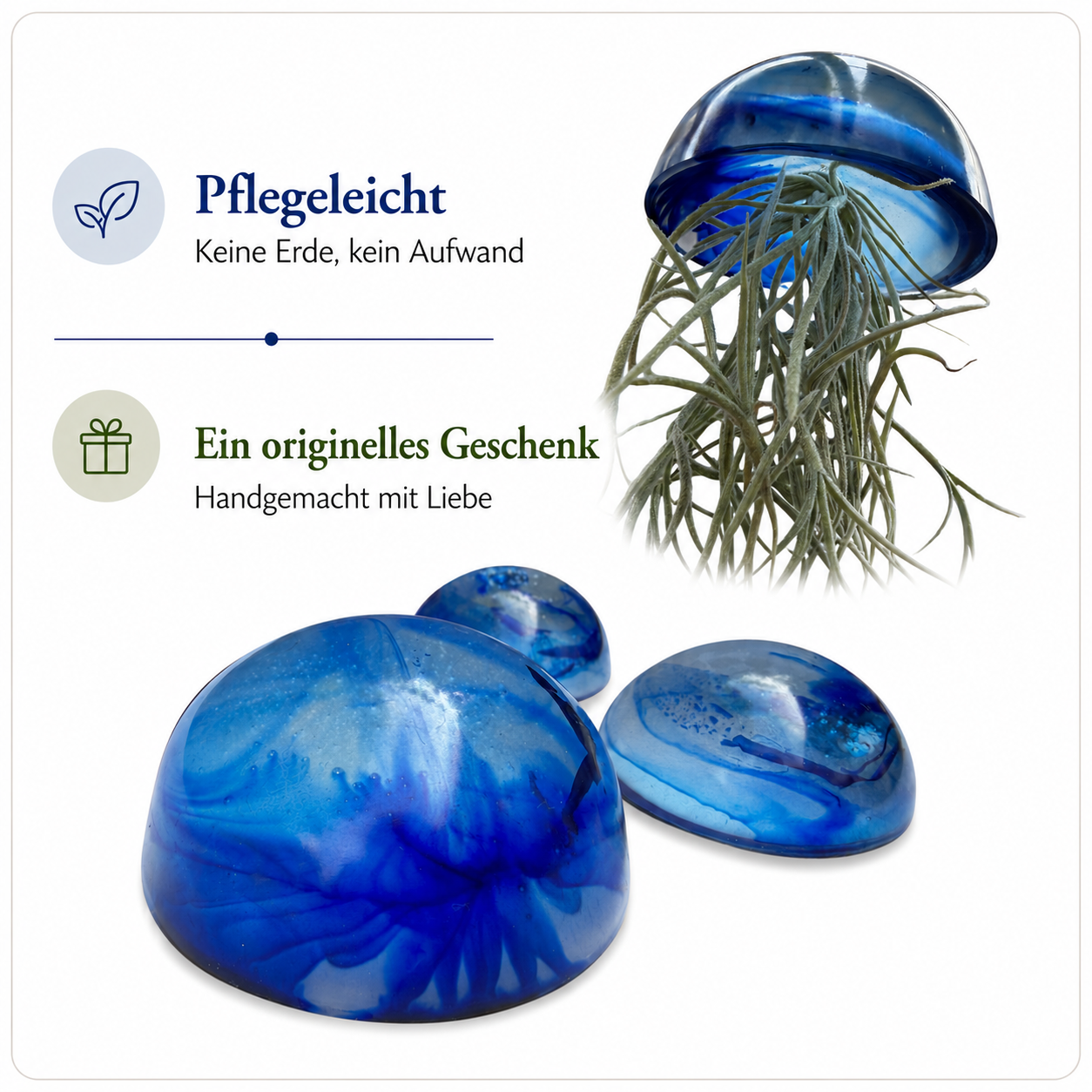 Schöne gläserne Quallen-Luftpflanzen mit Spanischem Moos. verschiedene Farben.erschiedene Farben