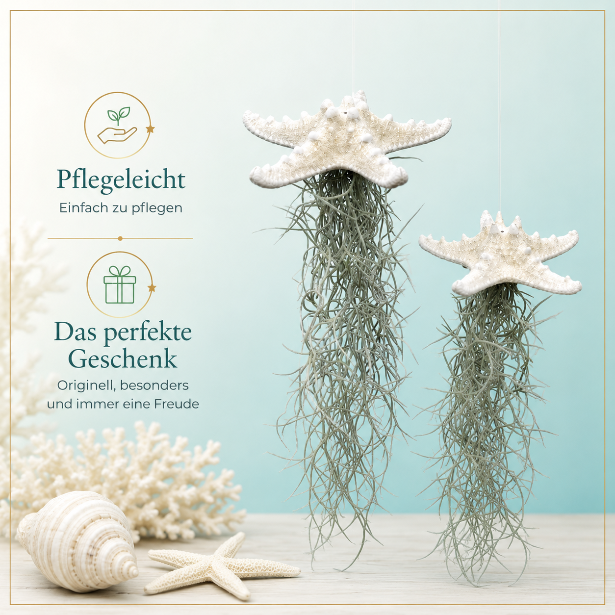 Besonderer Quallenanhänger mit Seestern!