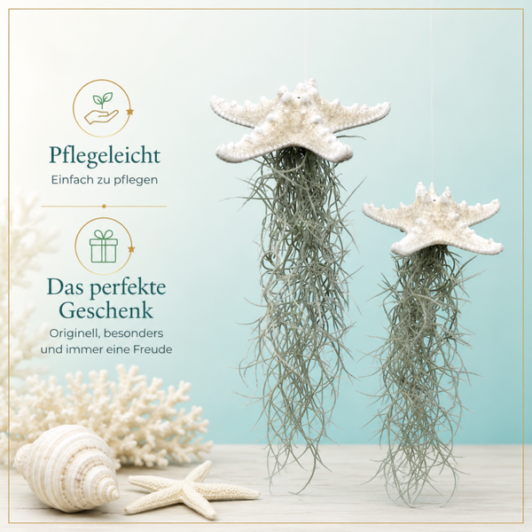 Besonderer Quallenanhänger mit Seestern!