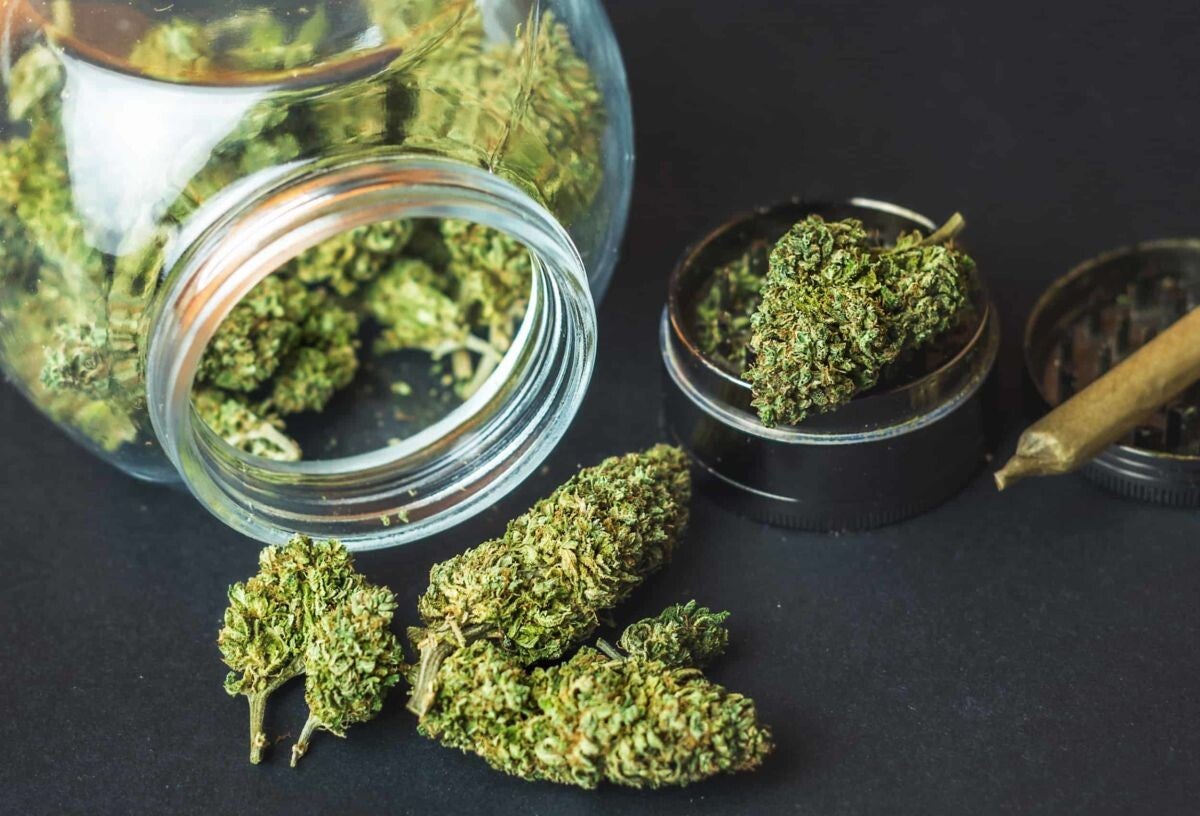CBD Blüten