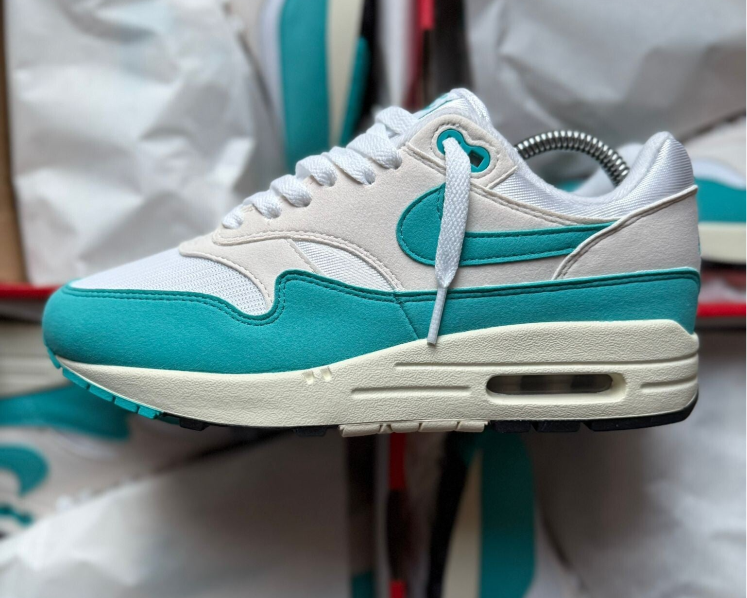 Nike Air Max 1 Dusty Cactus