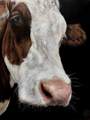 Klaartje the cow. an realistic artwork by Gerrie Mathijssen
