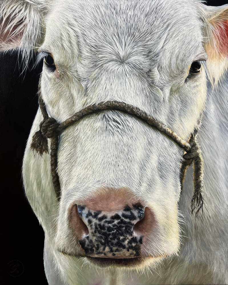 Close-up white cow painting – farmhouse style decor