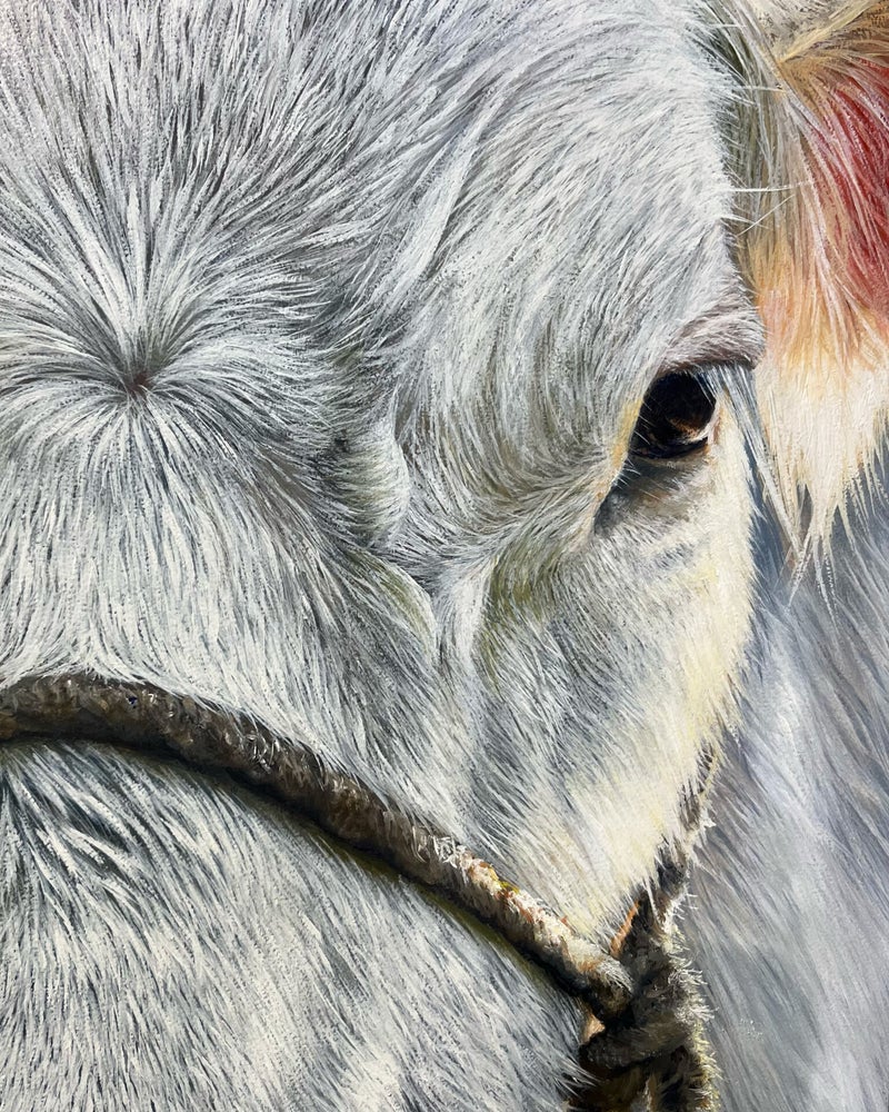 Close-up white cow painting – farmhouse style decor