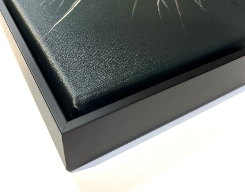 detail  of tray frame