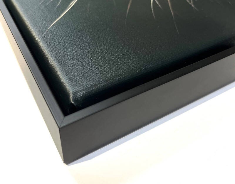 detail  of tray frame