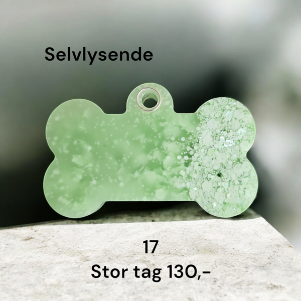 Tag 17