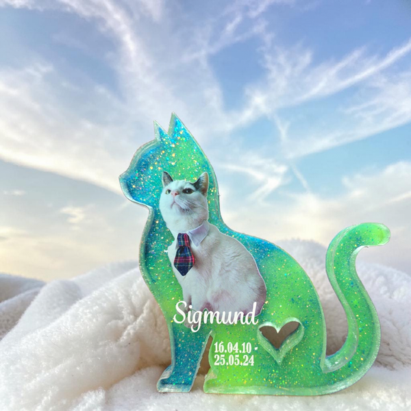 Katte minne sten