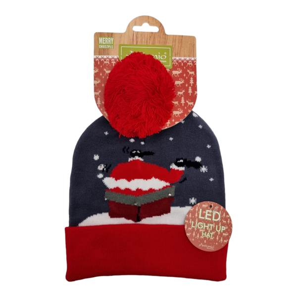 Muts Kerst - Led Lampjes