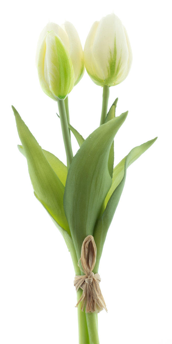 Real touch tulip Sally 3 st cream 25cm