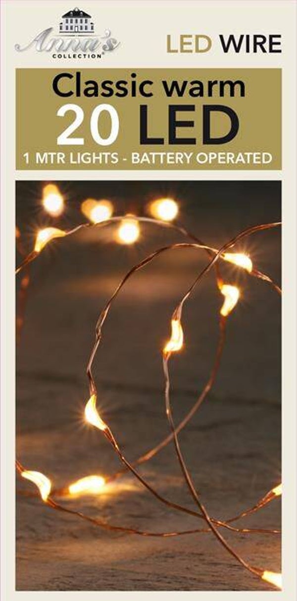 LED indoor verlichting 20 lampjes koperdraad