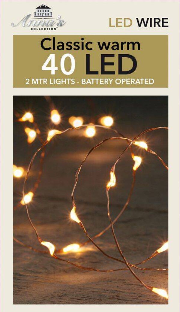 LED indoor verlichting 40 lampjes koperdraad