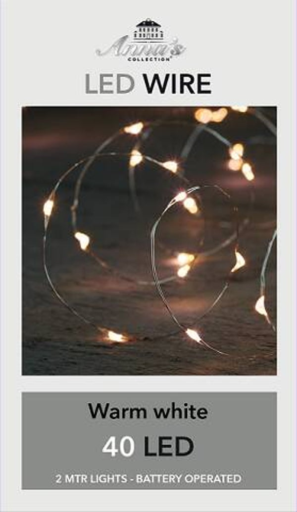 LED indoor verlichting 40 lampjes zilverdraad