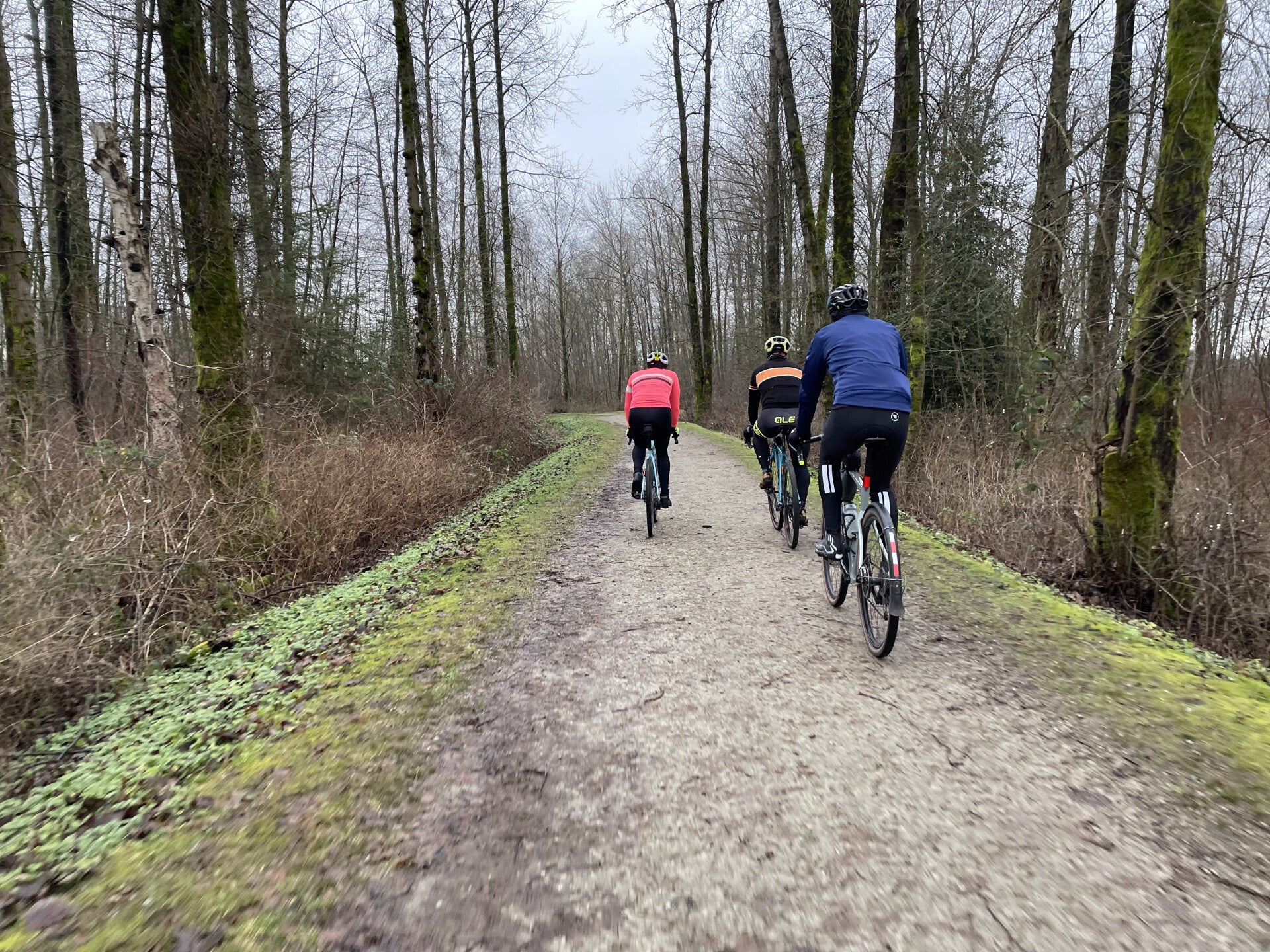 White Rock, Semiamoo Green Timbers Surrey