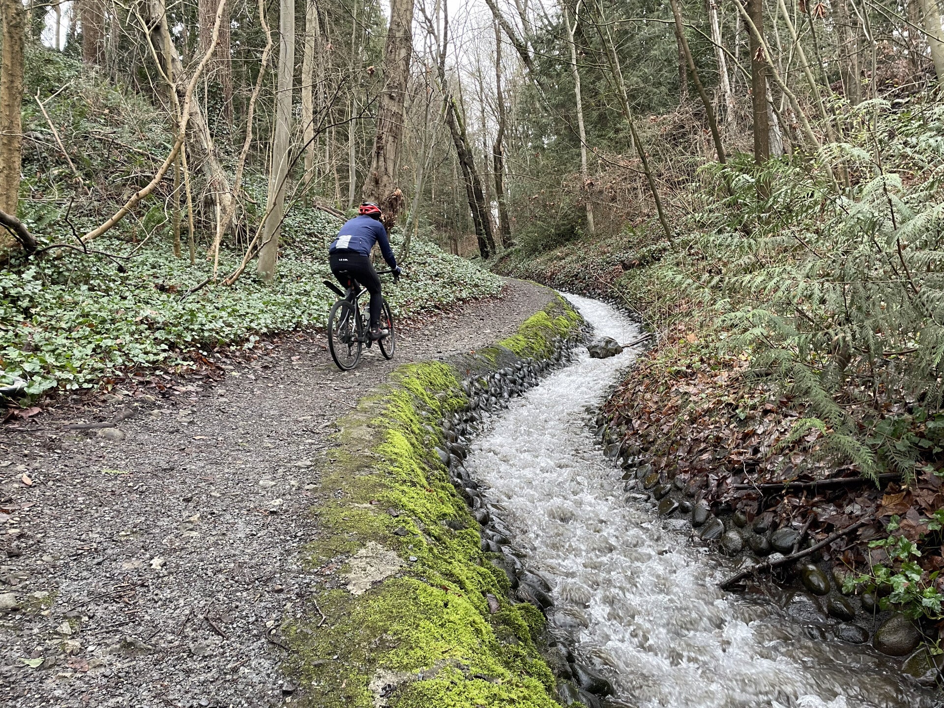 White Rock, Semiamoo Green Timbers Surrey