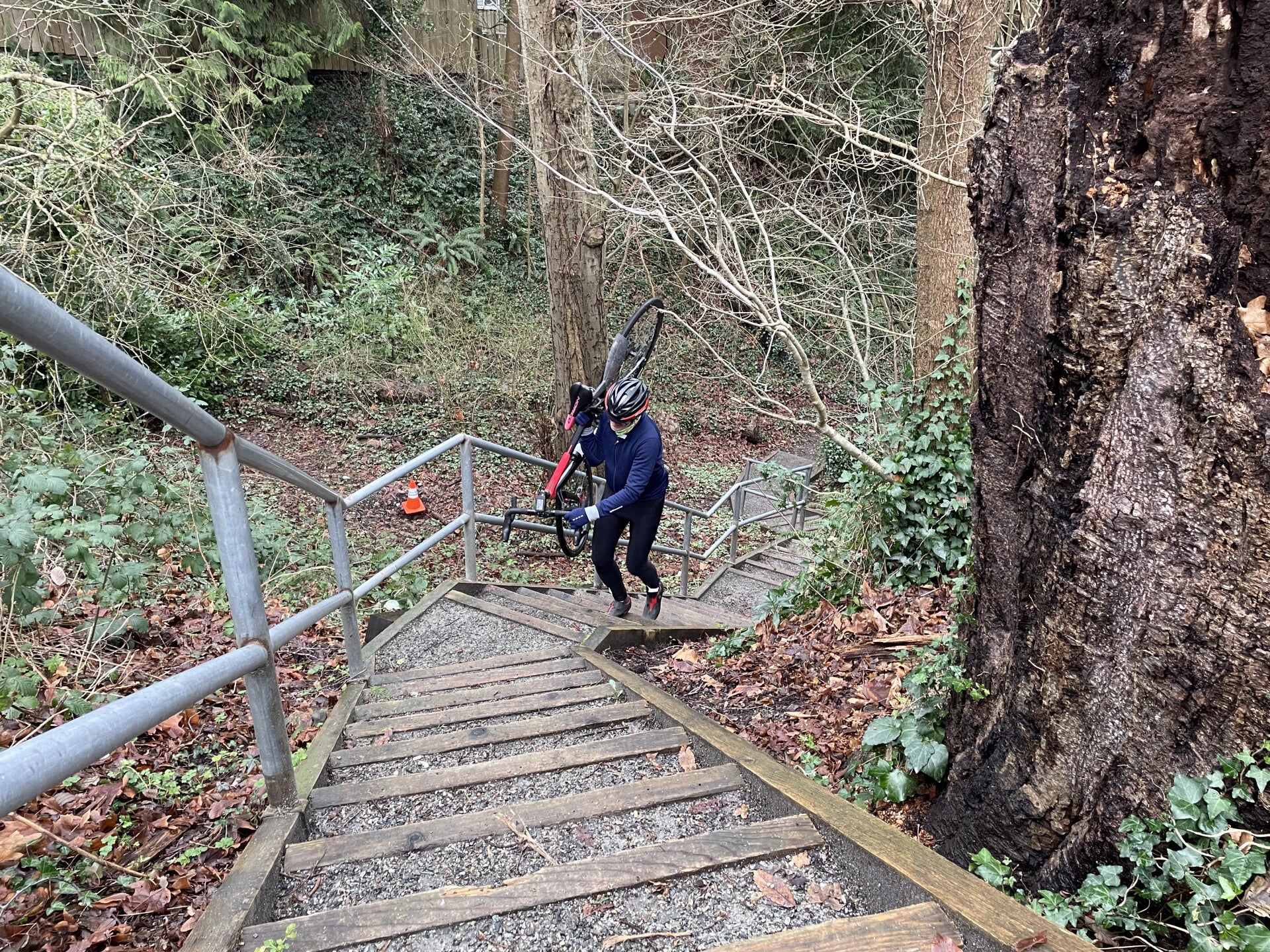 White Rock, Semiamoo Green Timbers Surrey