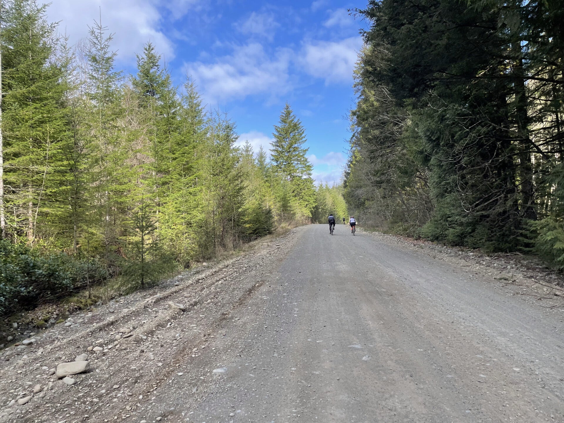 Canal Flats Columbia Lake