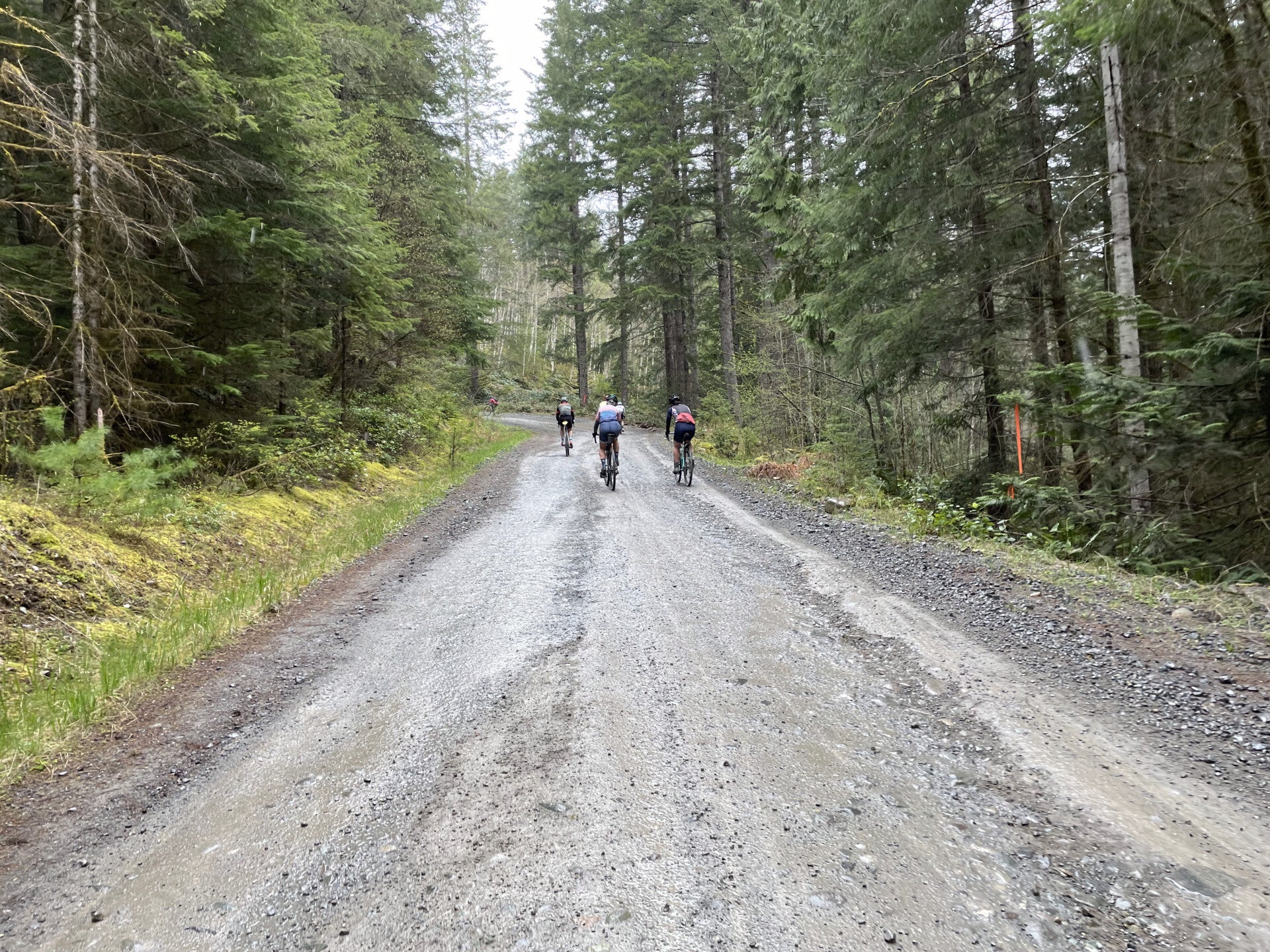 Canal Flats Columbia Lake