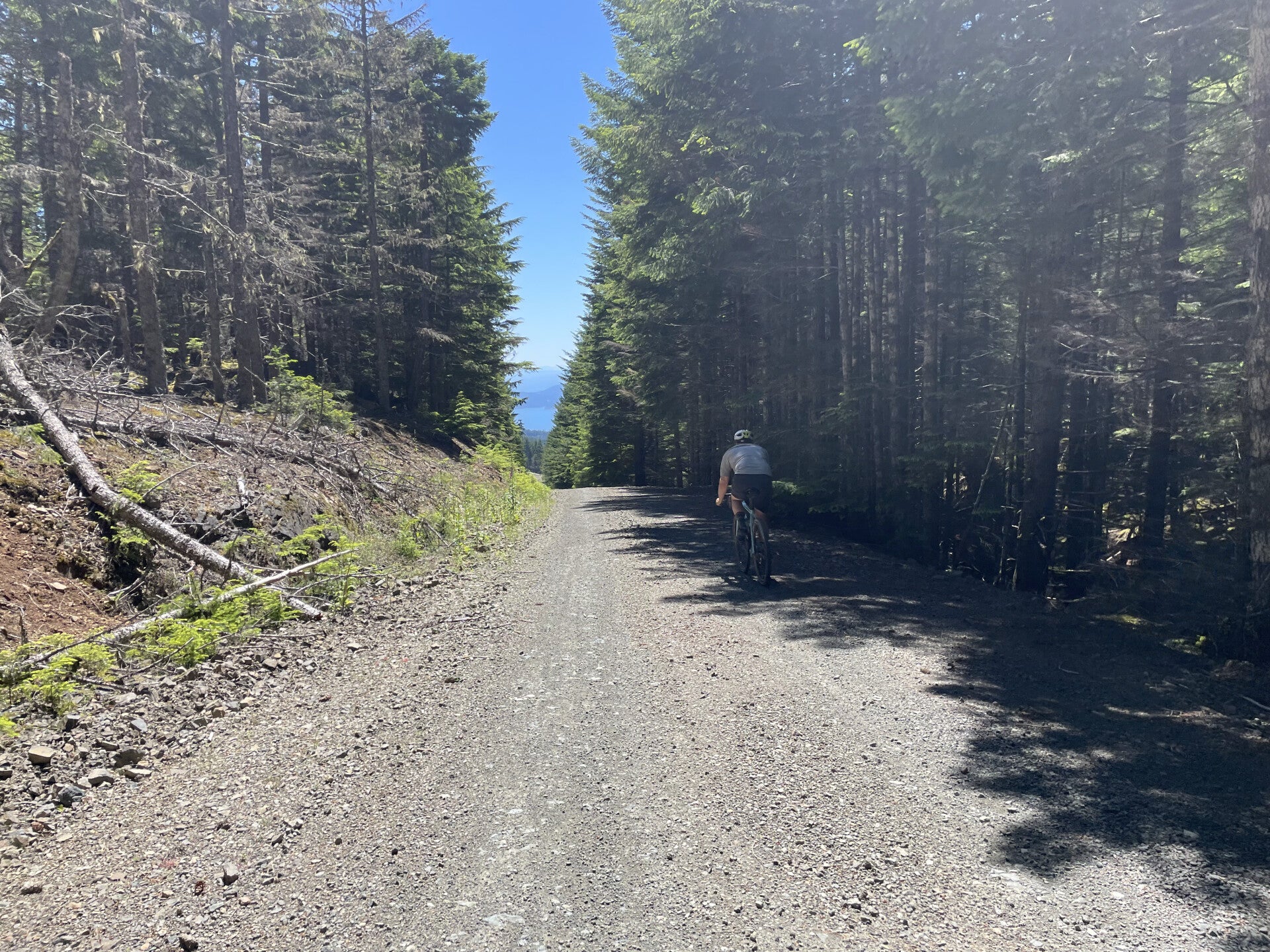 Gordon River Eden Grove