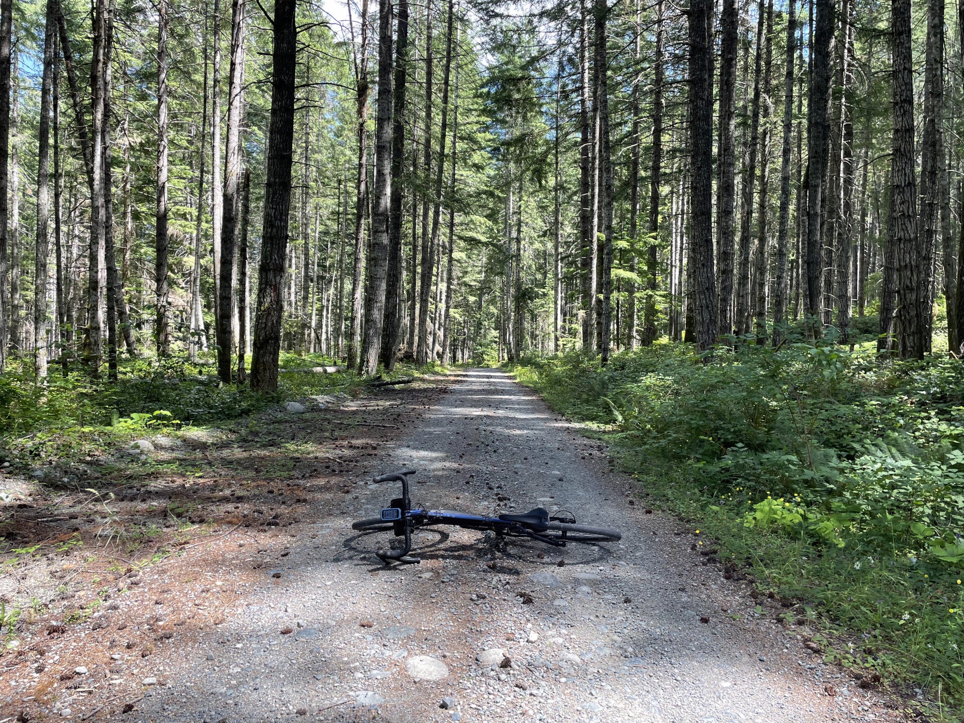 Golden Ears Alouette Valley