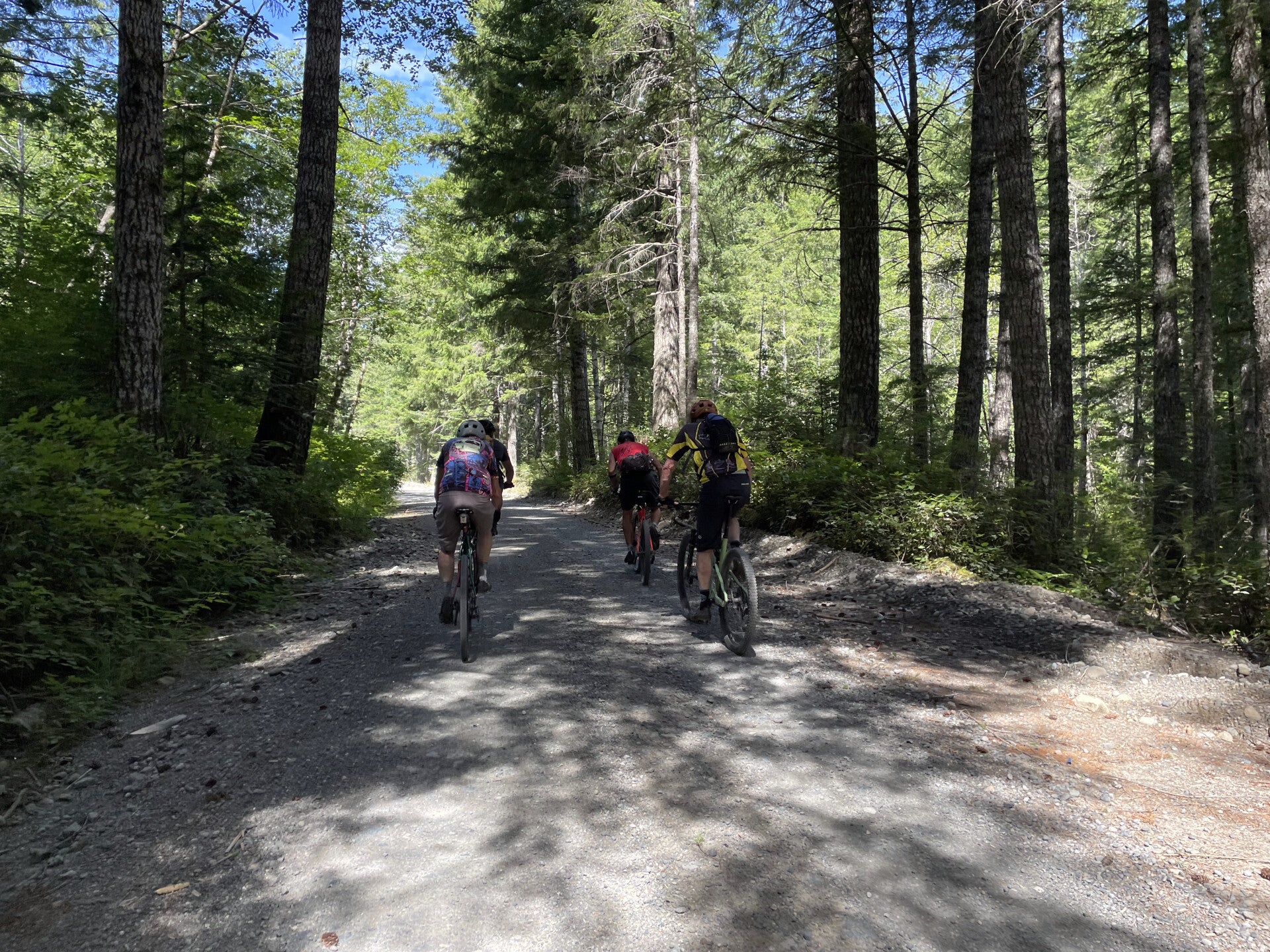 Princeton Bankeir Kettle Valley