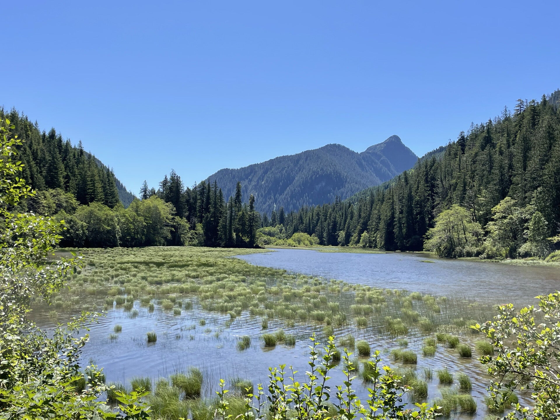 Gold Bridge Relay Creek